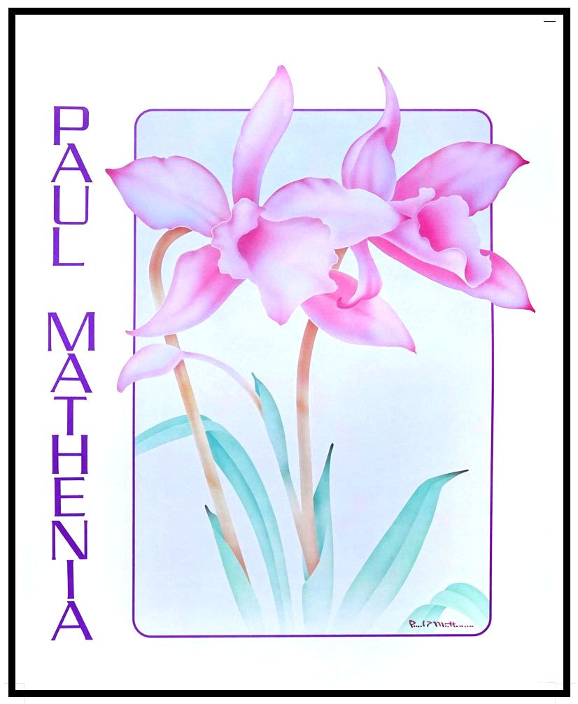 AK VH7051 Orchid Splendor